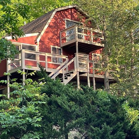 Saw Creek Cabin - Regent Hilltop บุชคิลล์ ภายนอก รูปภาพ