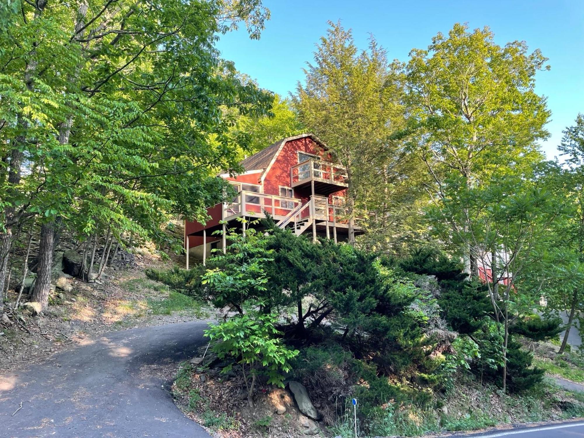 Saw Creek Cabin - Regent Hilltop บุชคิลล์ ภายนอก รูปภาพ