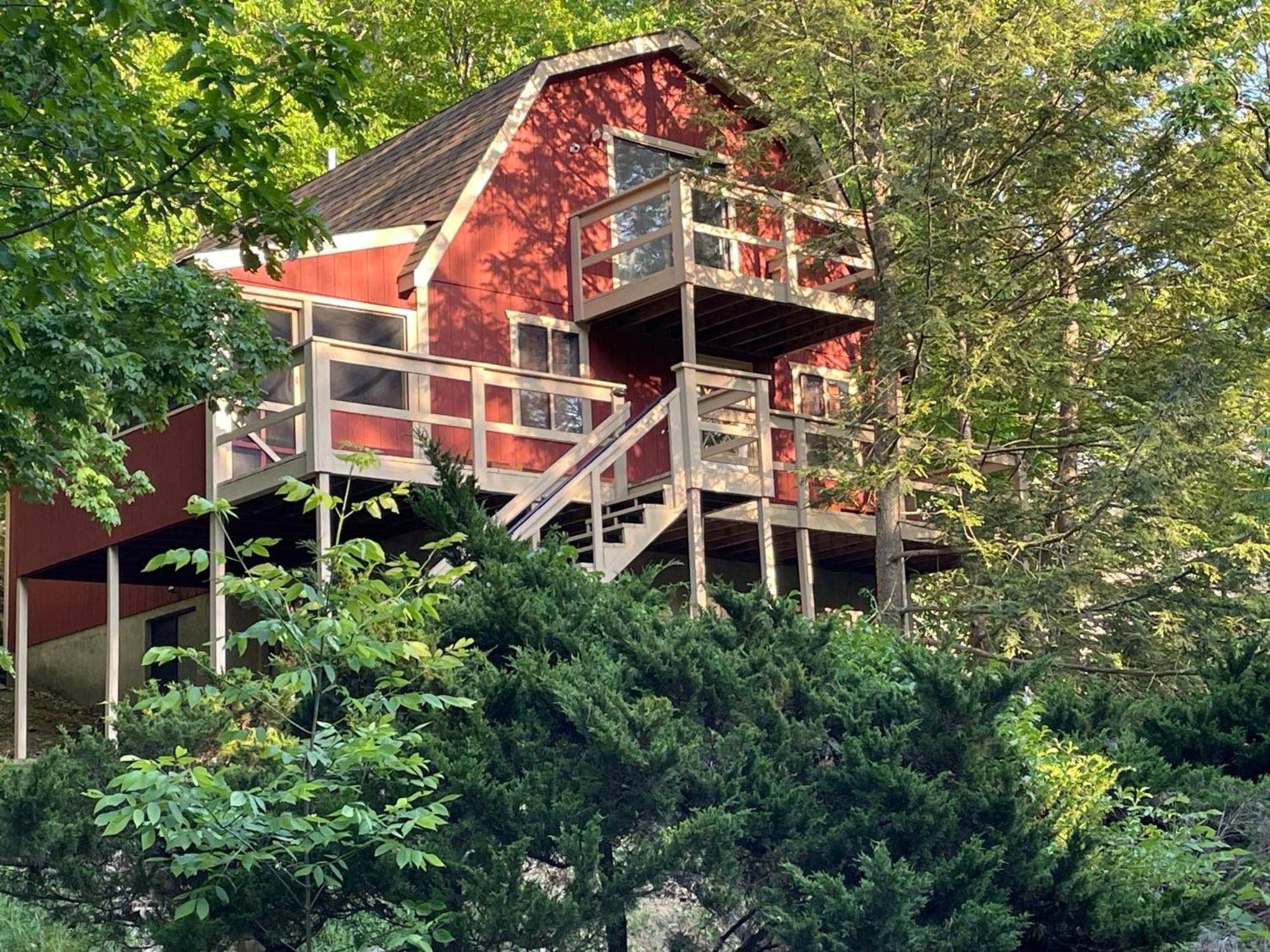 Saw Creek Cabin - Regent Hilltop บุชคิลล์ ภายนอก รูปภาพ