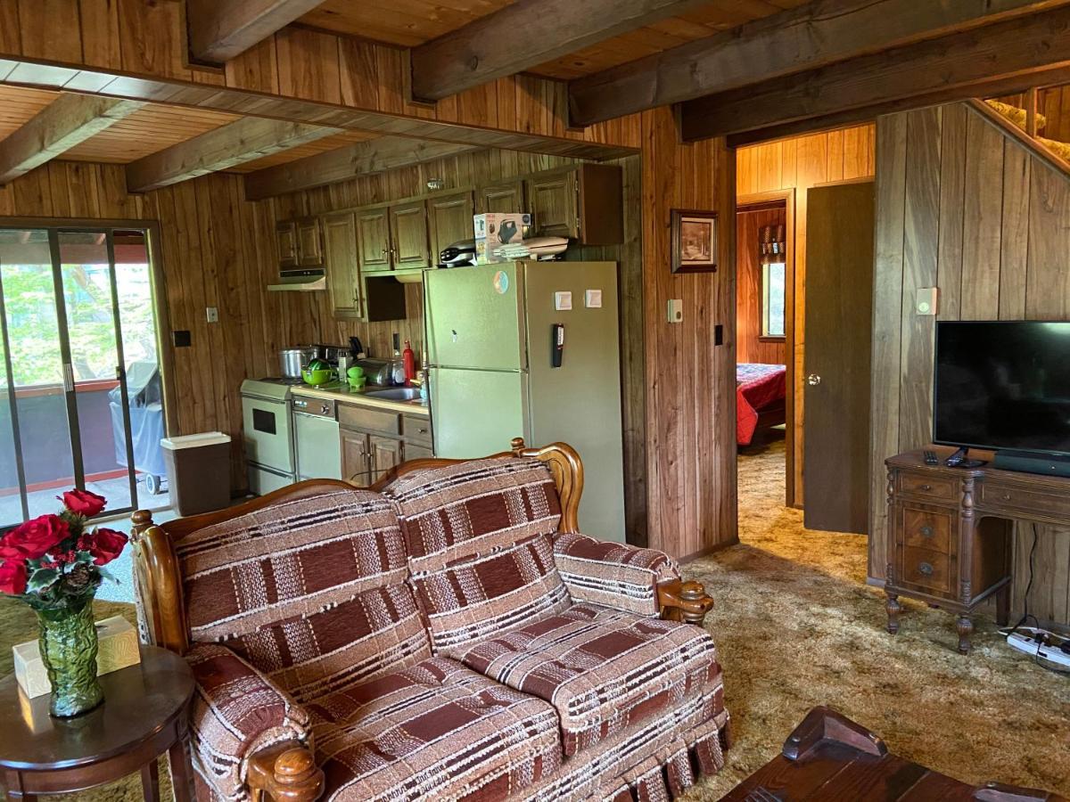 Saw Creek Cabin - Regent Hilltop บุชคิลล์ ภายนอก รูปภาพ