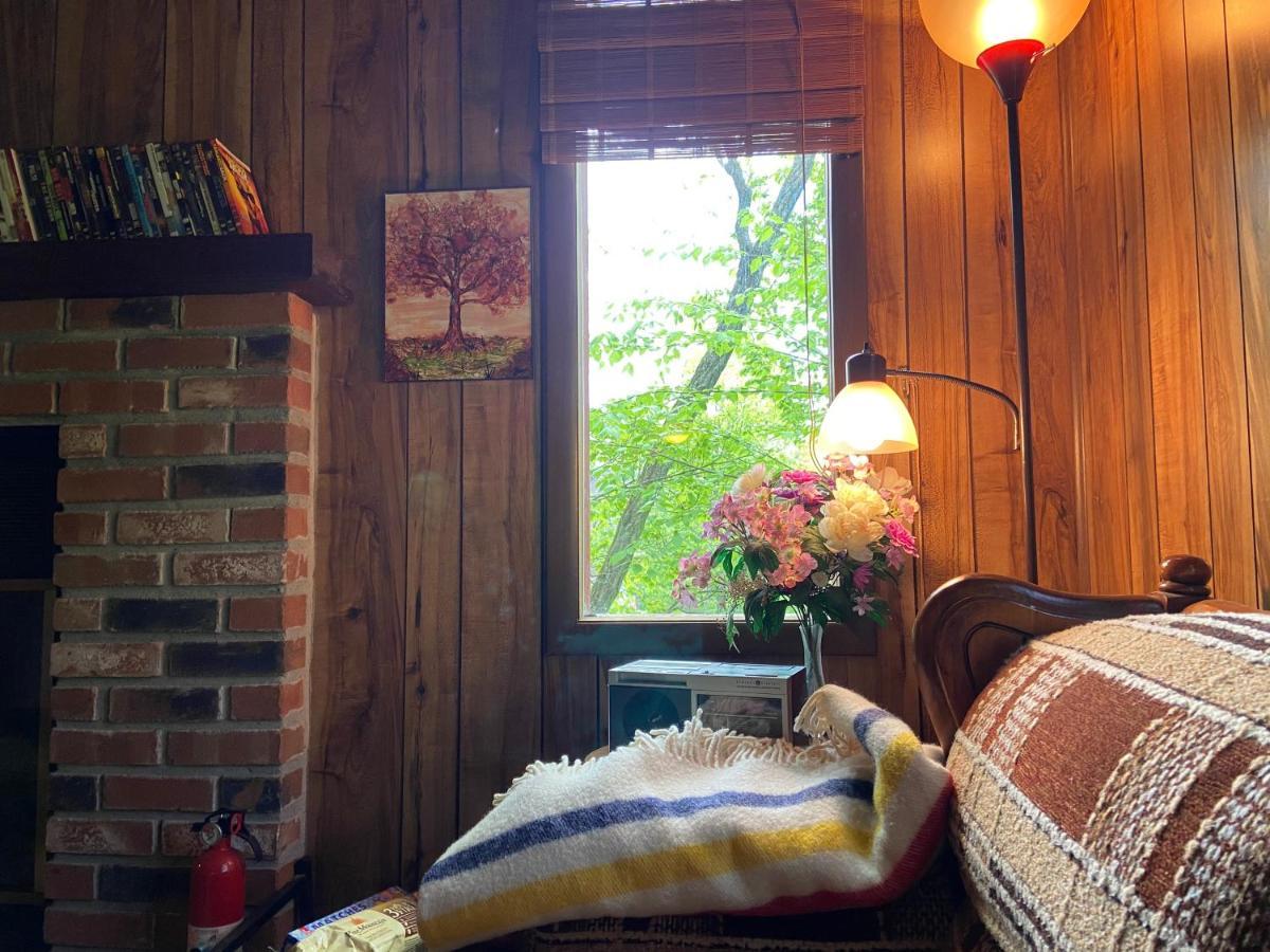 Saw Creek Cabin - Regent Hilltop บุชคิลล์ ภายนอก รูปภาพ