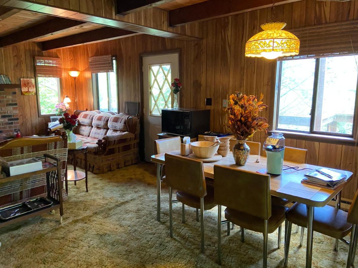 Saw Creek Cabin - Regent Hilltop บุชคิลล์ ภายนอก รูปภาพ