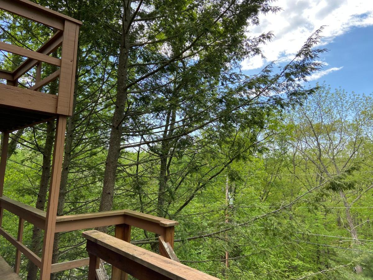 Saw Creek Cabin - Regent Hilltop บุชคิลล์ ภายนอก รูปภาพ