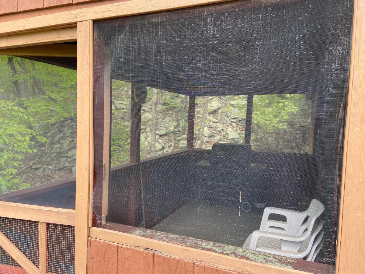 Saw Creek Cabin - Regent Hilltop บุชคิลล์ ภายนอก รูปภาพ